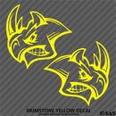 Angry Rhino Silhouette (PAIR) Vinyl Decal