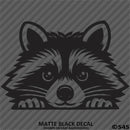 Peeking Raccoon Cute Funny Vinyl Decal