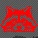Peeking Raccoon Cute Funny Vinyl Decal