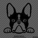 Peeking Boston Terrier Puppy Dog Vinyl Decal - S4S Designs