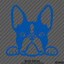 Peeking Boston Terrier Puppy Dog Vinyl Decal - S4S Designs
