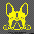 Peeking Boston Terrier Puppy Dog Vinyl Decal - S4S Designs