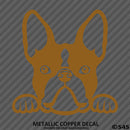 Peeking Boston Terrier Puppy Dog Vinyl Decal - S4S Designs