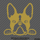 Peeking Boston Terrier Puppy Dog Vinyl Decal - S4S Designs
