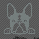 Peeking Boston Terrier Puppy Dog Vinyl Decal - S4S Designs
