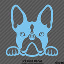Peeking Boston Terrier Puppy Dog Vinyl Decal - S4S Designs