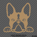 Peeking Boston Terrier Puppy Dog Vinyl Decal - S4S Designs