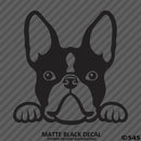 Peeking Boston Terrier Puppy Dog Vinyl Decal - S4S Designs