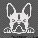 Peeking Boston Terrier Puppy Dog Vinyl Decal - S4S Designs