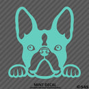 Peeking Boston Terrier Puppy Dog Vinyl Decal - S4S Designs