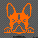 Peeking Boston Terrier Puppy Dog Vinyl Decal - S4S Designs