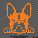 Peeking Boston Terrier Puppy Dog Vinyl Decal - S4S Designs