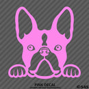 Peeking Boston Terrier Puppy Dog Vinyl Decal - S4S Designs