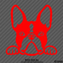 Peeking Boston Terrier Puppy Dog Vinyl Decal - S4S Designs