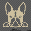 Peeking Boston Terrier Puppy Dog Vinyl Decal - S4S Designs