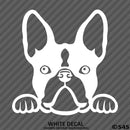 Peeking Boston Terrier Puppy Dog Vinyl Decal - S4S Designs