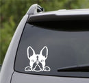 Peeking Boston Terrier Puppy Dog Vinyl Decal - S4S Designs