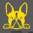Peeking Boston Terrier Puppy Dog Vinyl Decal - S4S Designs