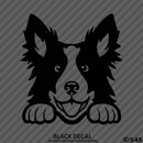 Peeking Border Collie Puppy Dog Vinyl Decal - S4S Designs