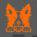 Peeking Border Collie Puppy Dog Vinyl Decal - S4S Designs