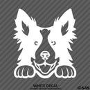 Peeking Border Collie Puppy Dog Vinyl Decal - S4S Designs