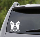 Peeking Border Collie Puppy Dog Vinyl Decal - S4S Designs