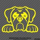 Peeking Boxer Puppy Dog Vinyl Decal - S4S Designs