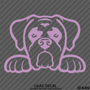 Peeking Boxer Puppy Dog Vinyl Decal - S4S Designs