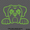 Peeking Boxer Puppy Dog Vinyl Decal - S4S Designs