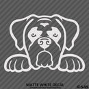 Peeking Boxer Puppy Dog Vinyl Decal - S4S Designs
