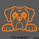 Peeking Boxer Puppy Dog Vinyl Decal - S4S Designs