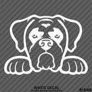 Peeking Boxer Puppy Dog Vinyl Decal - S4S Designs