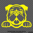 Peeking Bulldog Puppy Dog Vinyl Decal - S4S Designs