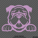 Peeking Bulldog Puppy Dog Vinyl Decal - S4S Designs
