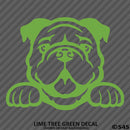 Peeking Bulldog Puppy Dog Vinyl Decal - S4S Designs