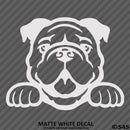 Peeking Bulldog Puppy Dog Vinyl Decal - S4S Designs