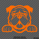 Peeking Bulldog Puppy Dog Vinyl Decal - S4S Designs