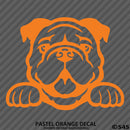 Peeking Bulldog Puppy Dog Vinyl Decal - S4S Designs