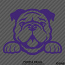 Peeking Bulldog Puppy Dog Vinyl Decal - S4S Designs