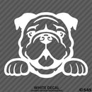 Peeking Bulldog Puppy Dog Vinyl Decal - S4S Designs