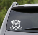 Peeking Bulldog Puppy Dog Vinyl Decal - S4S Designs