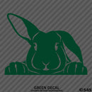 Peeking Bunny Rabbit Vinyl Decal - S4S Designs