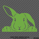 Peeking Bunny Rabbit Vinyl Decal - S4S Designs
