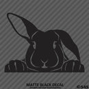 Peeking Bunny Rabbit Vinyl Decal - S4S Designs