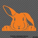 Peeking Bunny Rabbit Vinyl Decal - S4S Designs