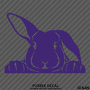 Peeking Bunny Rabbit Vinyl Decal - S4S Designs