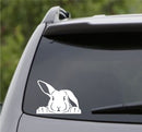 Peeking Bunny Rabbit Vinyl Decal - S4S Designs