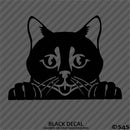 Peeking Cat Kitten Vinyl Decal