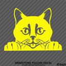 Peeking Cat Kitten Vinyl Decal