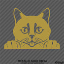 Peeking Cat Kitten Vinyl Decal